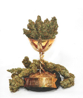 Cannabis Cup Award Winners